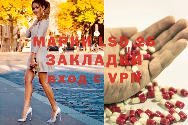 спайс Аркадак