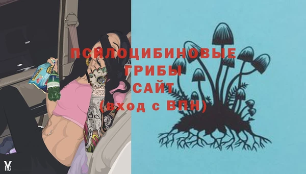 ALPHA PVP Армянск