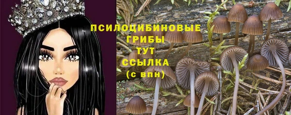 дмт Переславль-Залесский